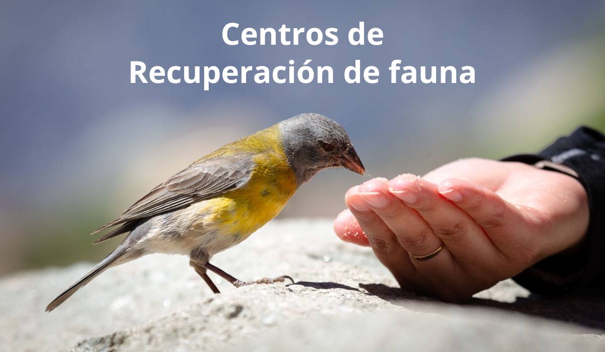 Centros de recuperación de fauna